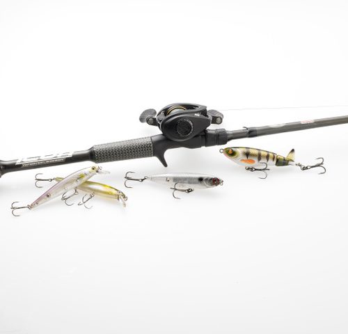 ICON Topwater/Jerkbait Rod