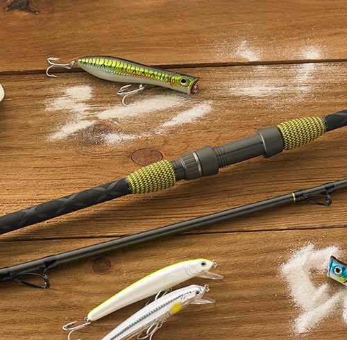 Surf Fishing Rods
